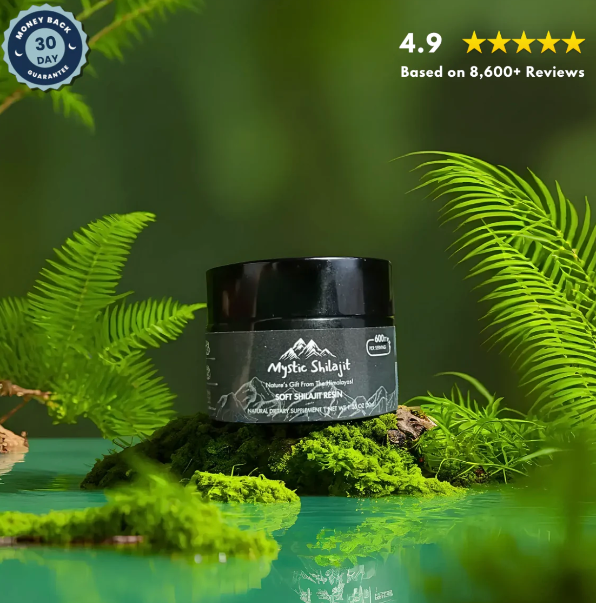 Natural Shilajit Resin